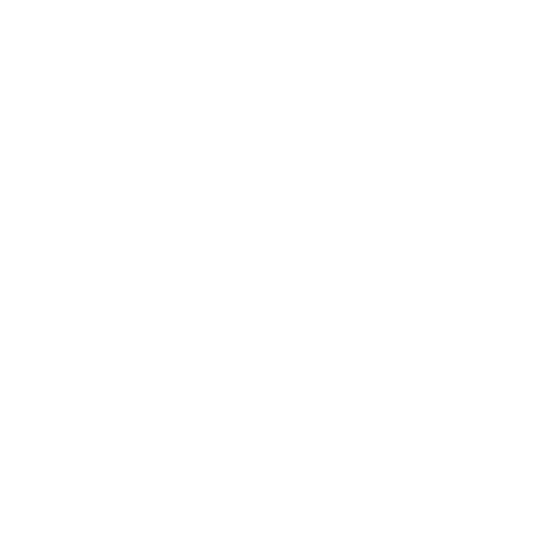 Mini Bus Hire Gold Coast